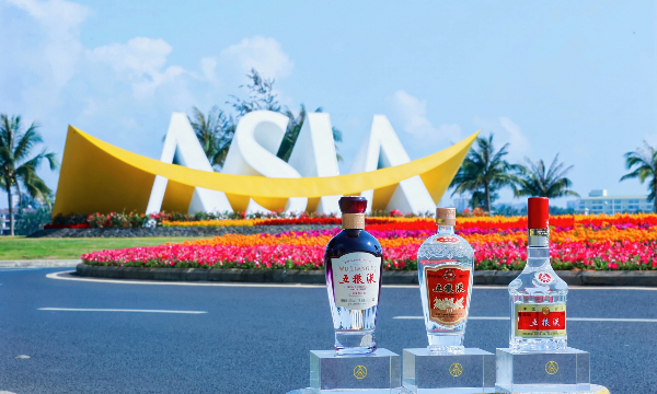 从博鳌到世界：五粮液以“和美”作答银禧之约