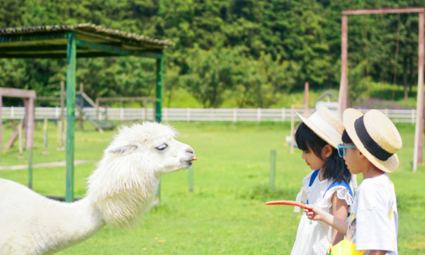 重庆首个春假倒计时！33元起玩五大景点，带娃去武隆解锁春日超值畅游