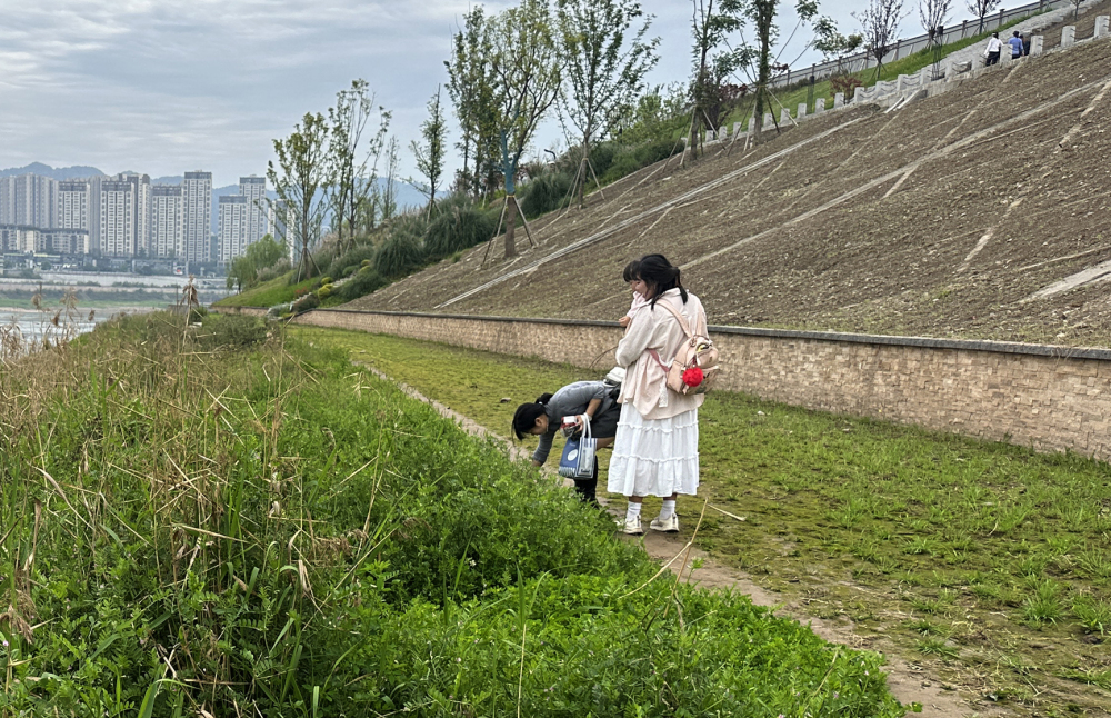 上传图片