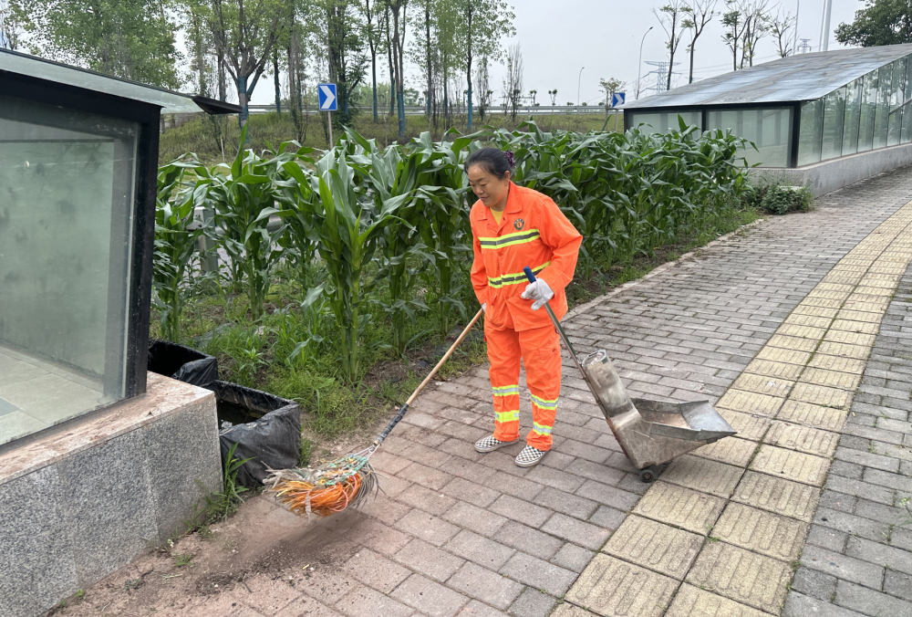 上传图片