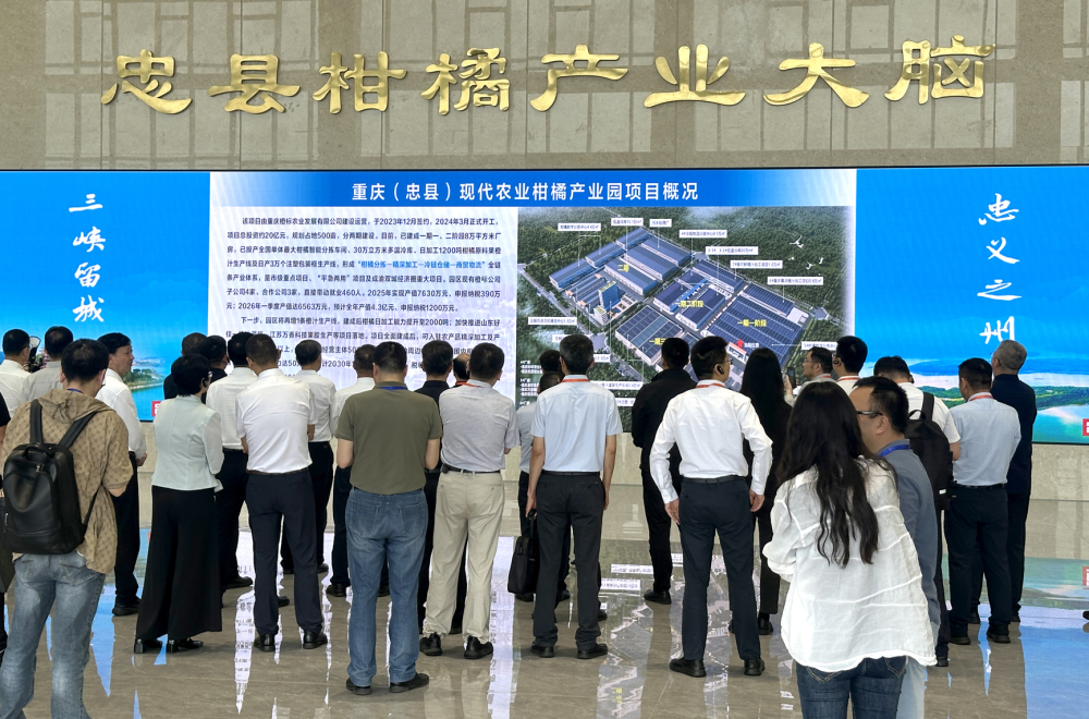 上传图片