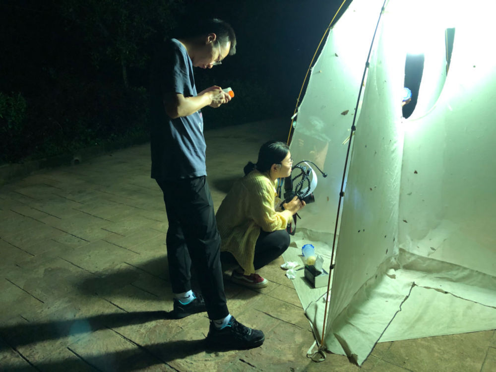 上传图片