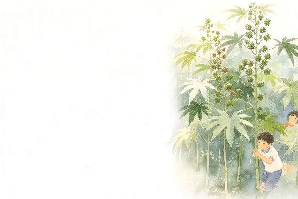 上传图片
