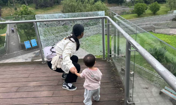 民生调查 | 湿地公园24块护栏玻璃碎裂，谁是肇事者？