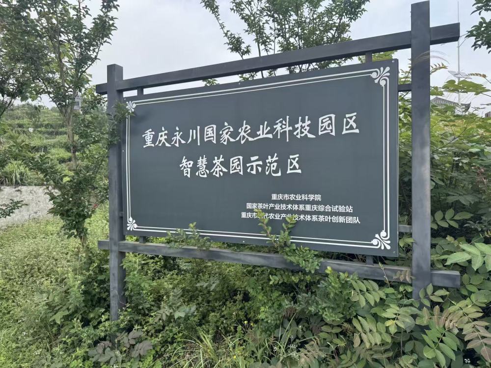上传图片