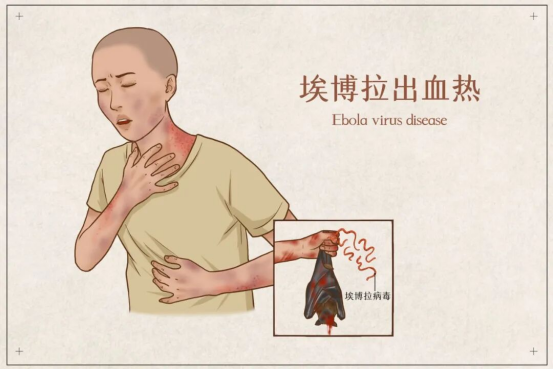 粘贴图片