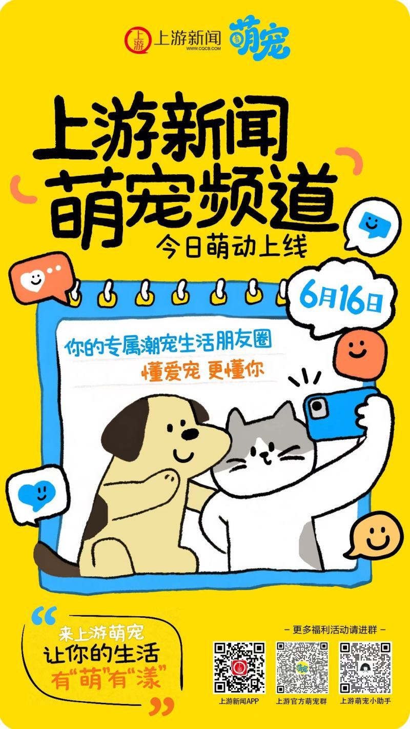 上传图片
