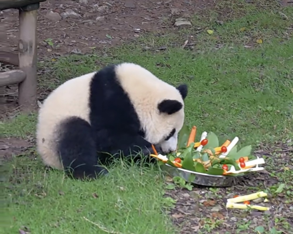 上传图片