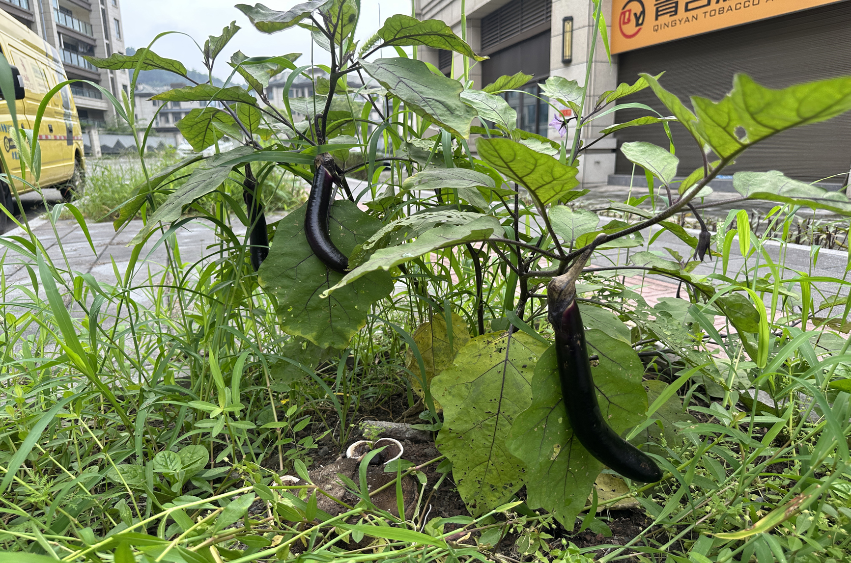 上传图片