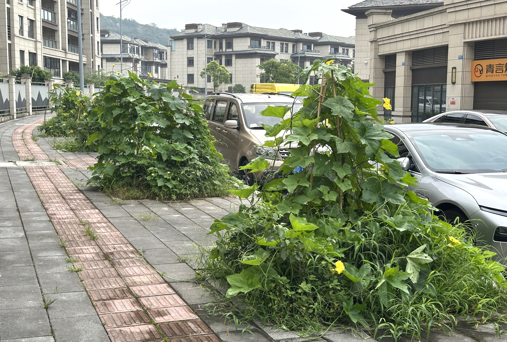 上传图片