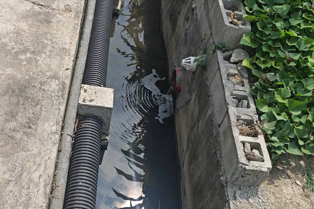上传图片