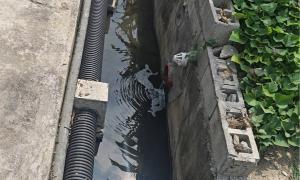 两天解决！一条臭水沟的“急诊”记