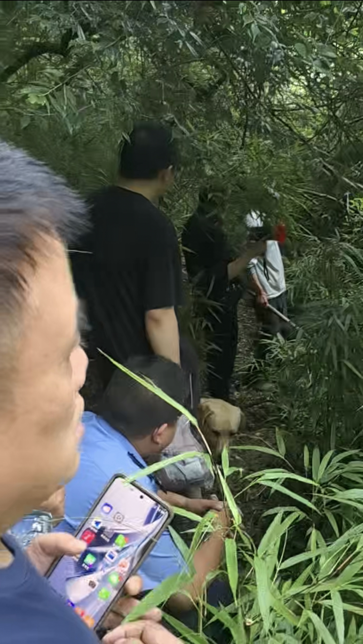 上传图片
