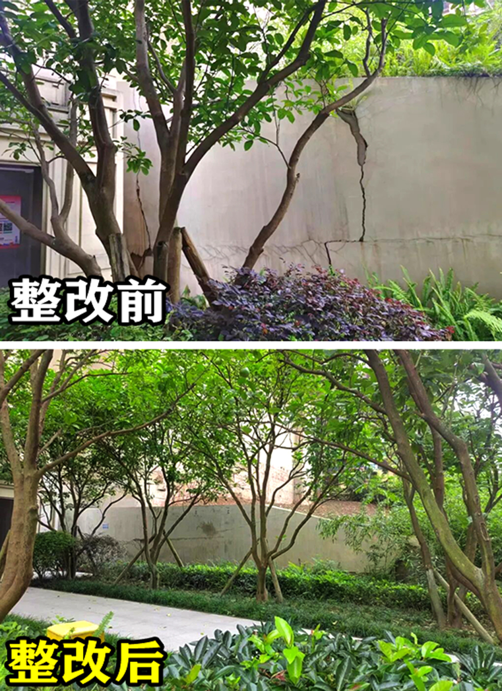 上传图片
