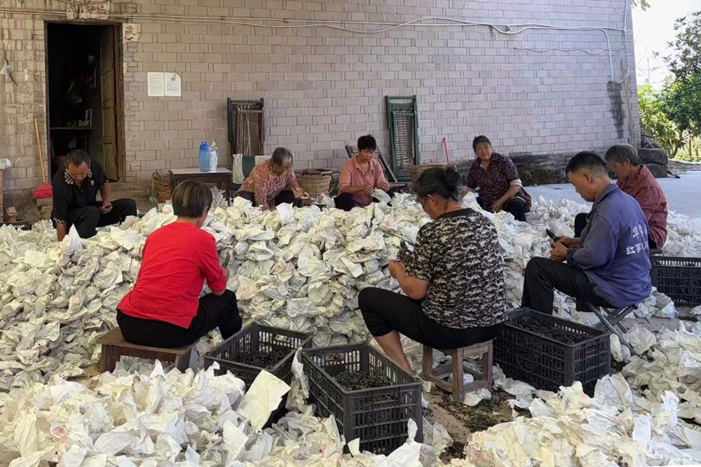 粘贴图片